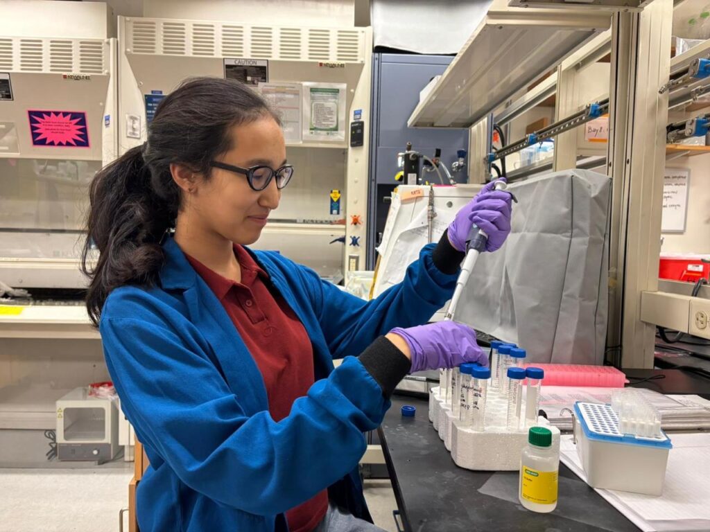 Mеруерт Наурызбаева​